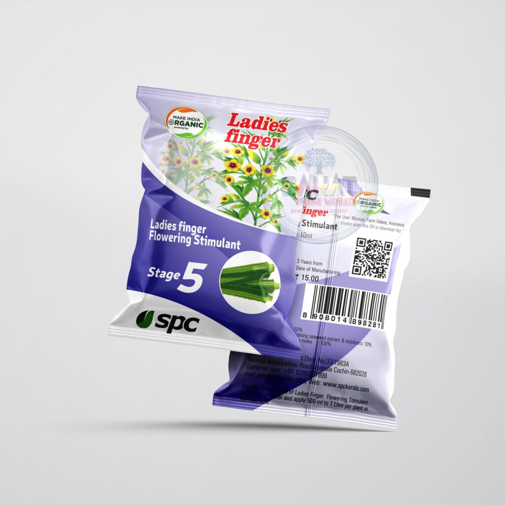 Pouch-2